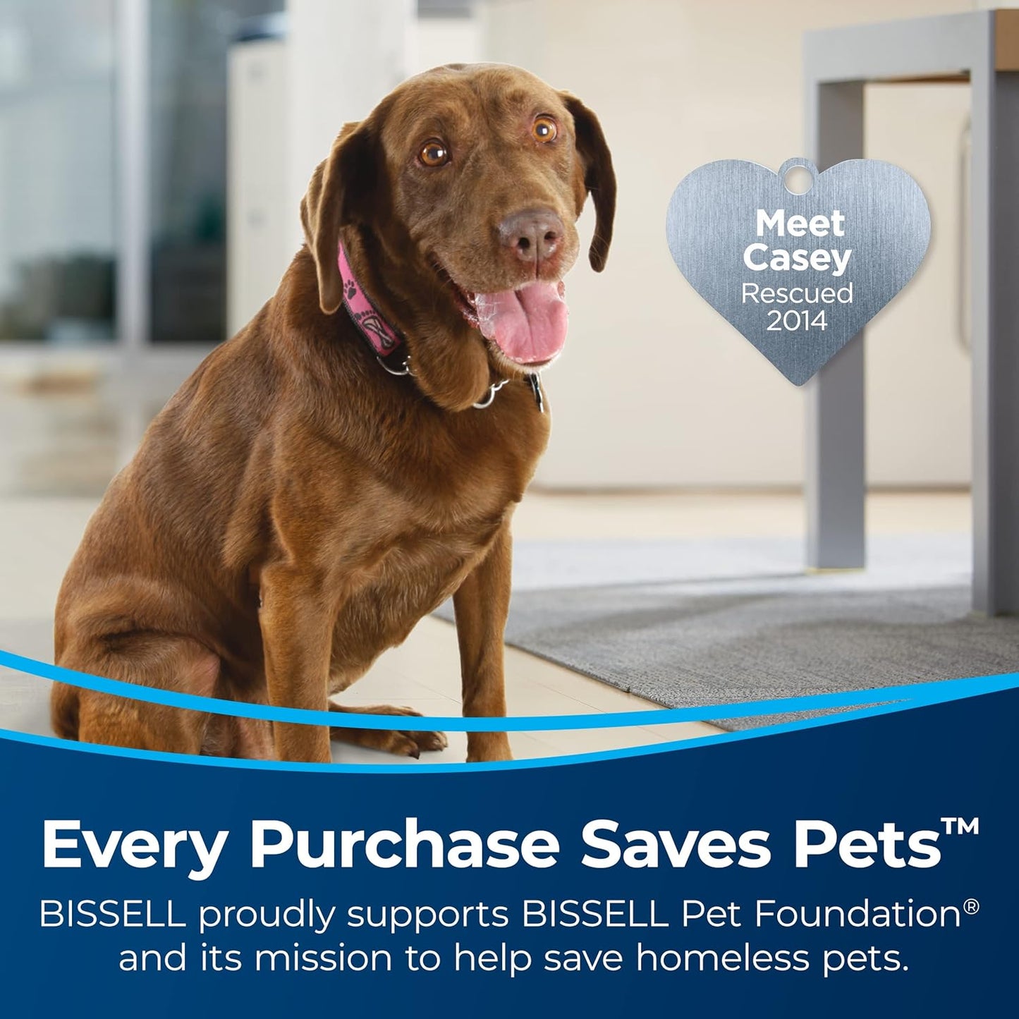Bissell Crosswave HF3 Cordless Wet/Dry Vacuum Cleaner and Mop, Multi-Surface and Hardwood Floor Cleaner - SmartGatelb