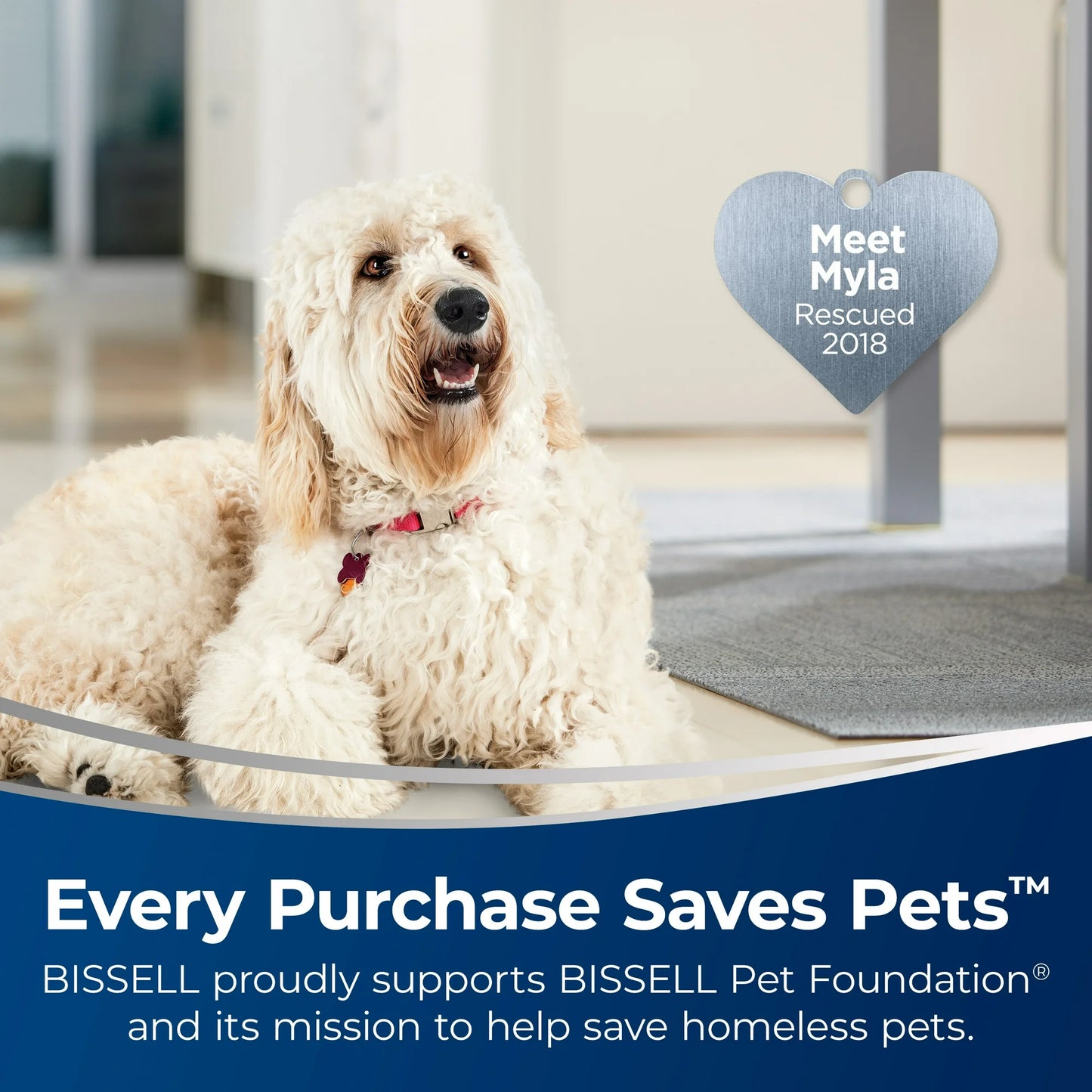 BISSELL CrossWave X7 Cordless Pro Multi Floor Surface Wet Dry Vac 2955Z - SmartGatelb